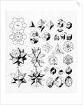 Regular geometrical solids of various types, 1619 by Unknown