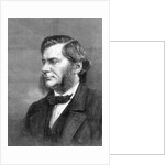 Thomas Henry Huxley, British biologist, 1871 by Unknown