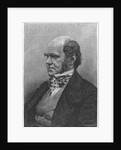 Charles Darwin, English naturalist, 1884 by Anonymous