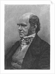 Charles Darwin, English naturalist, 1884 by Anonymous