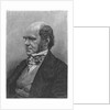 Charles Darwin, English naturalist, 1884 by Anonymous