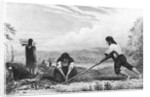 Natives of Chiloe, Patagonia, using a breast plough, 1839 by Unknown