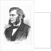 Thomas Henry Huxley, British biologist, c1860s by Unknown
