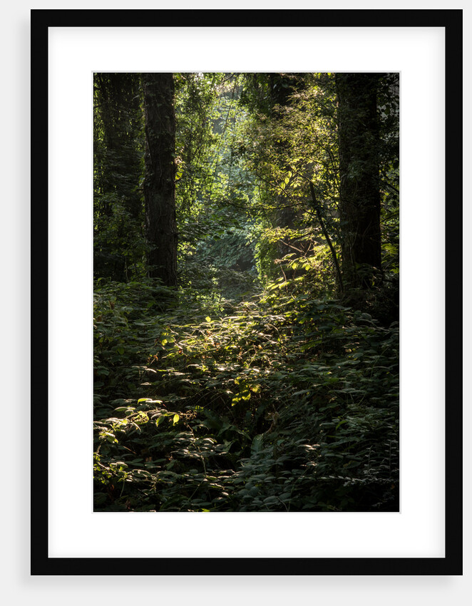 Cwm Ivy by Philip Smith