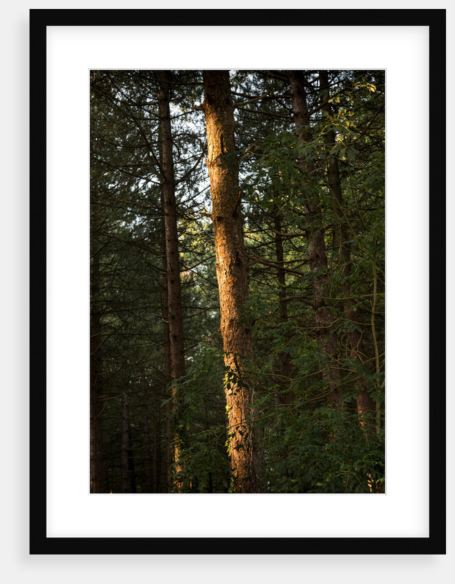 Cwm Ivy by Philip Smith