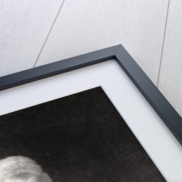 Queen Victoria at the Age of Seventy-eight by Cockerell