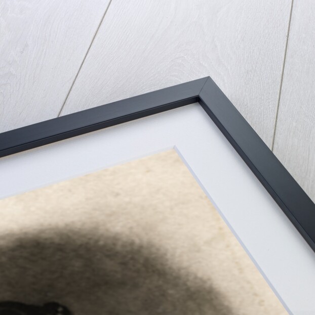 Queen Victoria at the Age of Twenty by Cockerell