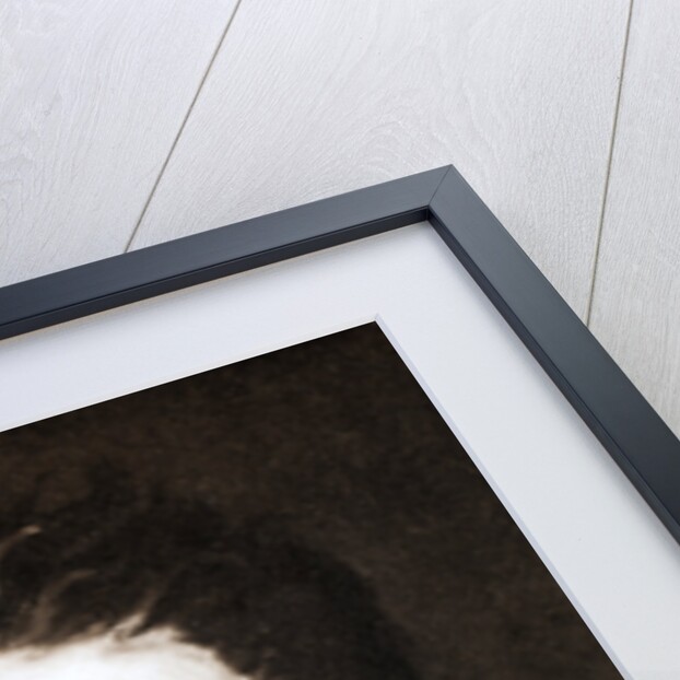 Percy Bysshe Shelley, English romantic poet by Anonymous