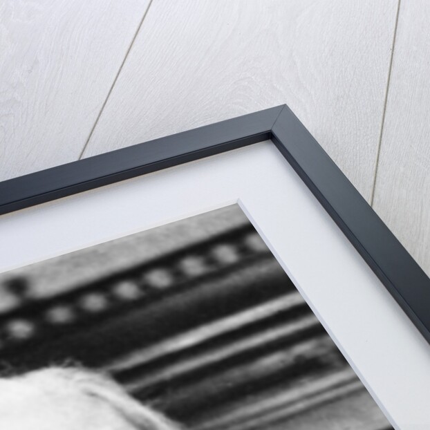 Franz Liszt, Hungarian pianist and composer by Anonymous