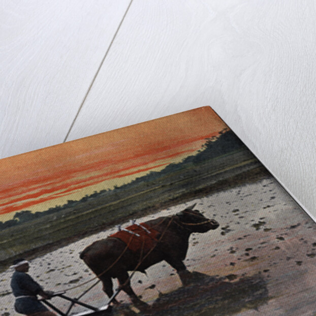 Preparation of a Rice Plantation in Japan by Charles Gillot