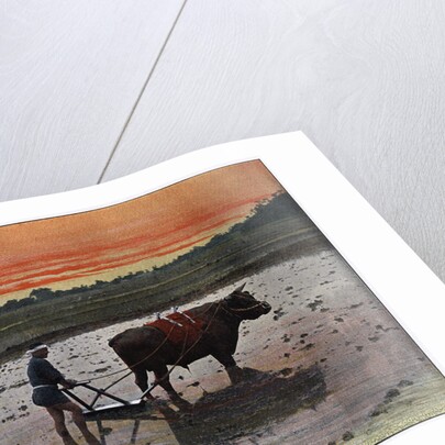 Preparation of a Rice Plantation in Japan by Charles Gillot
