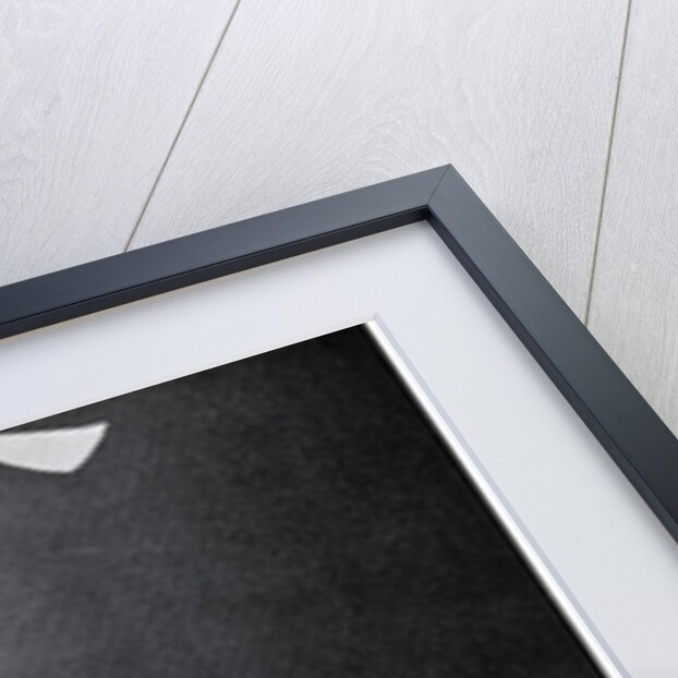 Spinning Wheel by Charles Gillot