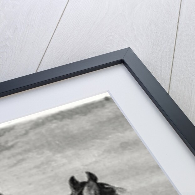 Gallic horseman by Neuville