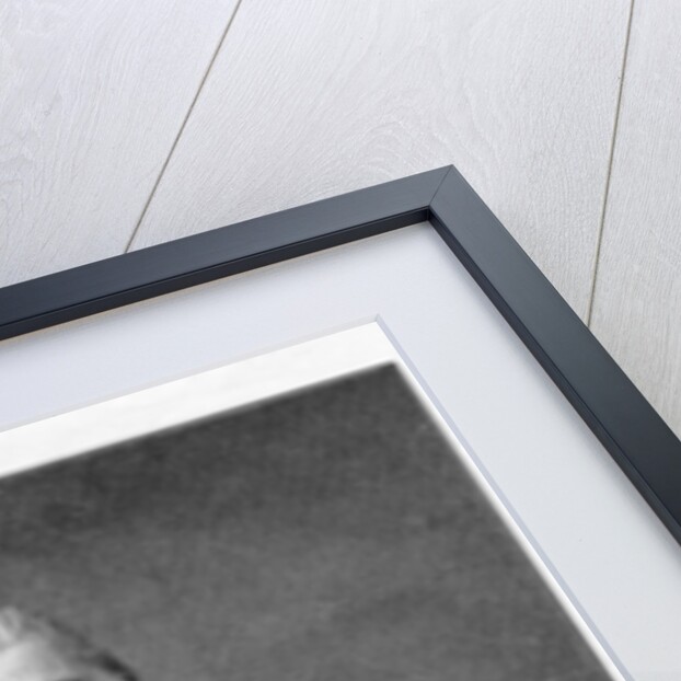 Thomas Henry Huxley, British biologist by Anonymous