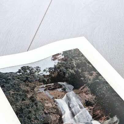 Waterfall in Tijuca, Rio de Janeiro, Brazil by Anonymous