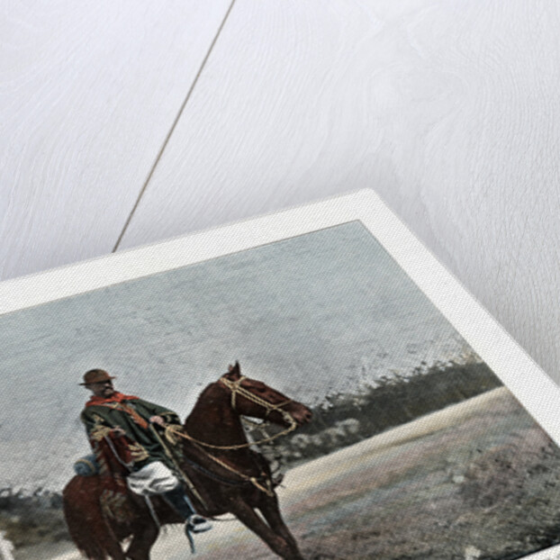 Cattle herder, Rio Grande do Sul, Brazil by Gillot