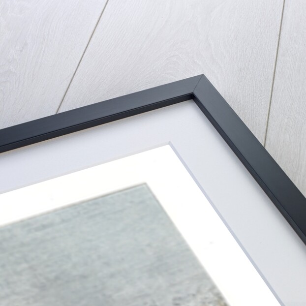 Cattle herder, Rio Grande do Sul, Brazil by Gillot