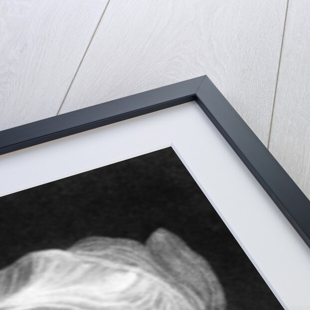 William Cowper, English poet and hymnodist by Anonymous