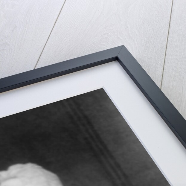 Samuel Taylor Coleridge, English poet, critic, and philosopher by Anonymous