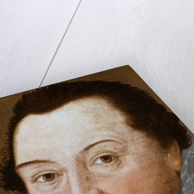 Sir Francis Drake by Marcus Gheeraerts the Younger