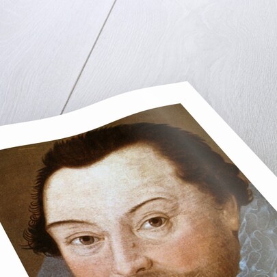 Sir Francis Drake by Marcus Gheeraerts the Younger