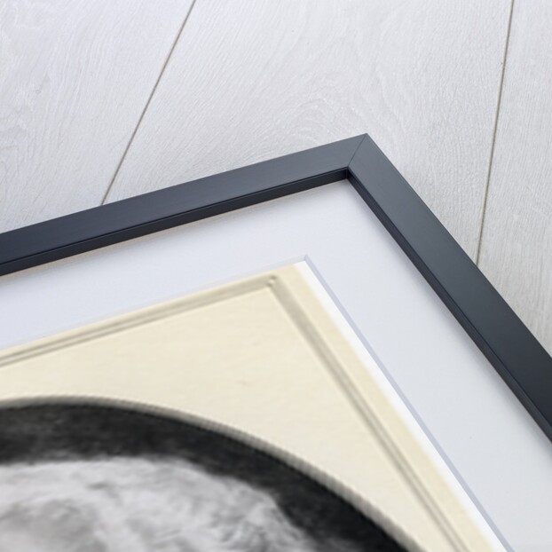 George Washington, the first President of the United States by Gordon Ross