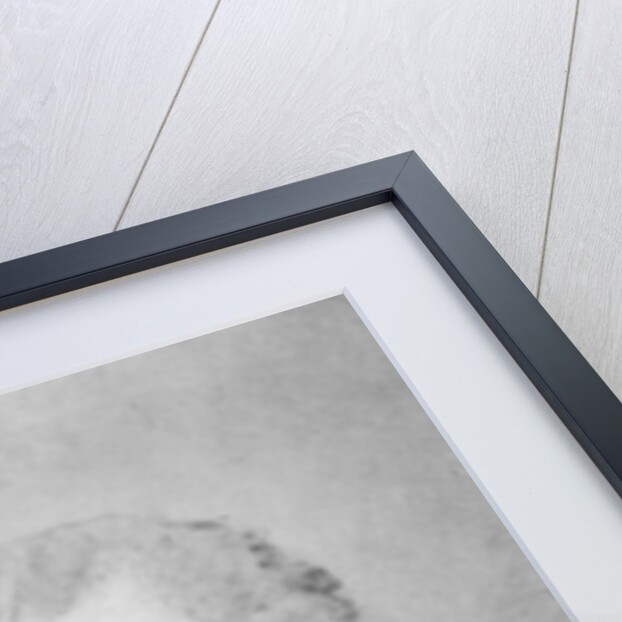 James Monroe, fifth President of the United States by Anonymous