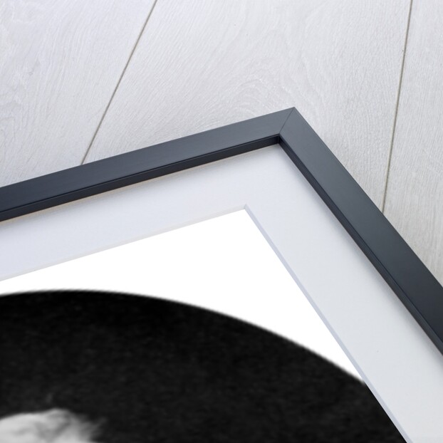 John Quincy Adams, the sixth President of the United States by John Singleton Copley