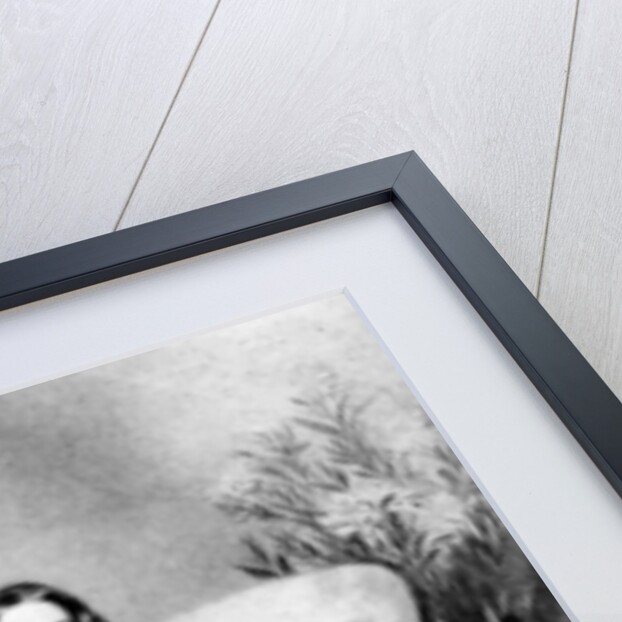 Queen Victoria by Alfred Chalon