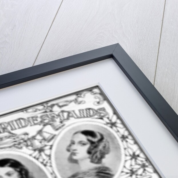 Nine of Queen Victoria's bridesmaids by Anonymous