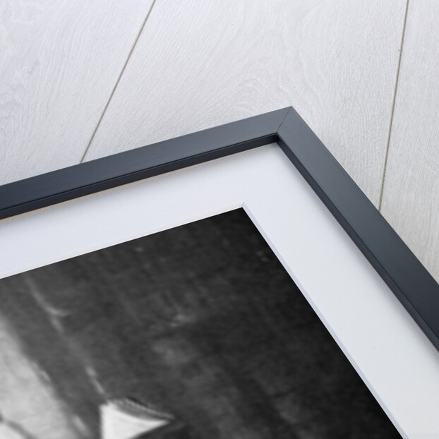 William Ewart Gladstone, British Liberal Party statesman and Prime Minister by Anonymous