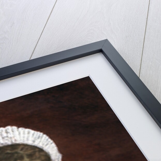 Princess Marie Sophie Frederikke Dagmar, Dowager Empress of Russia by Anonymous