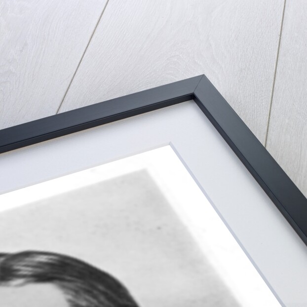 Salomon August Andree, Swedish engineer and aeronaut by Anonymous