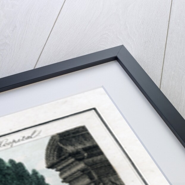 Cat's and Dog's Meat! by Anonymous