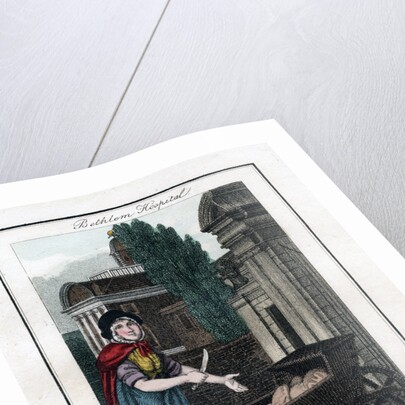 Cat's and Dog's Meat! by Anonymous