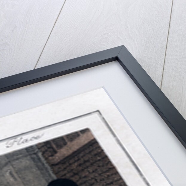 Cherries by Anonymous