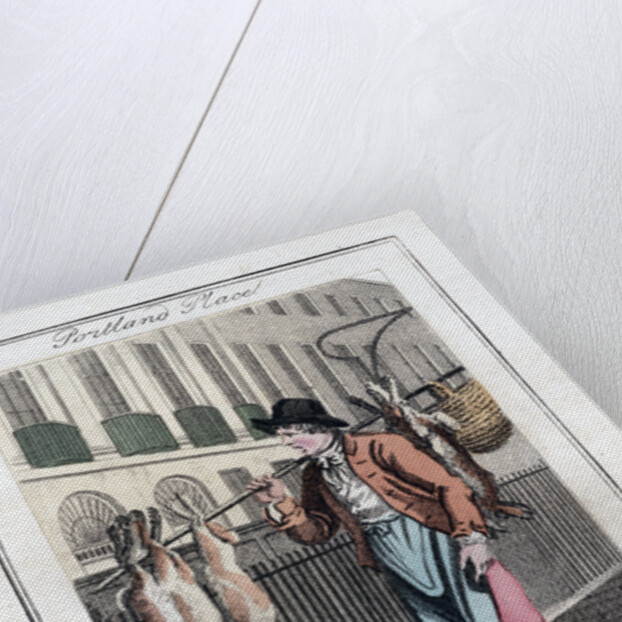 Rabbits by Anonymous