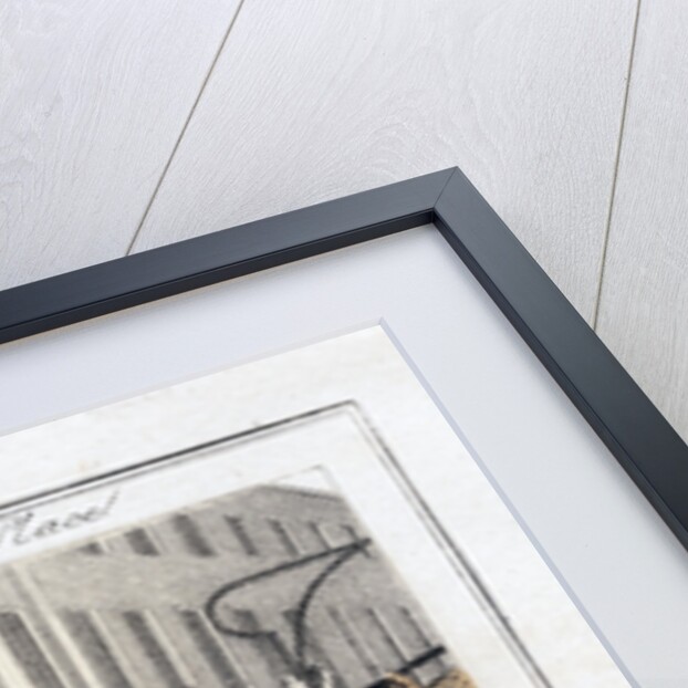 Rabbits by Anonymous