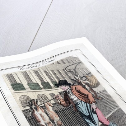 Rabbits by Anonymous