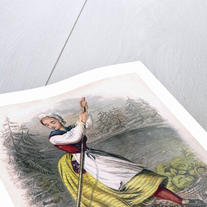 Swedish Woman Rowing by W Dickes