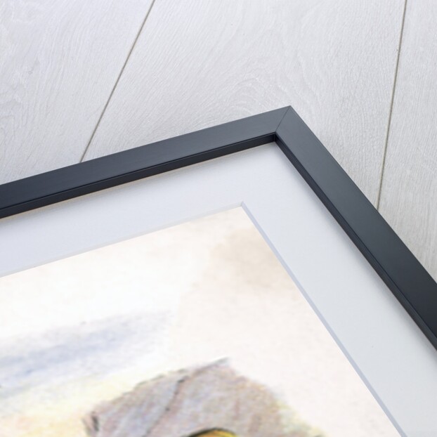 Two Greek Women by Anonymous