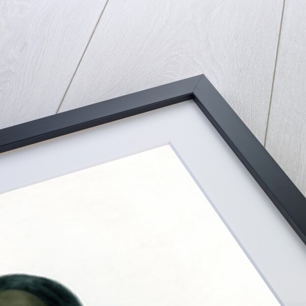 A Melik of the Shegyia Arabs by J Bull