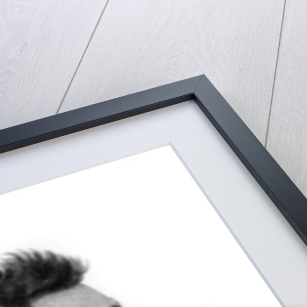 Rhio Rhio, King of the Sandwich Islands by Anonymous