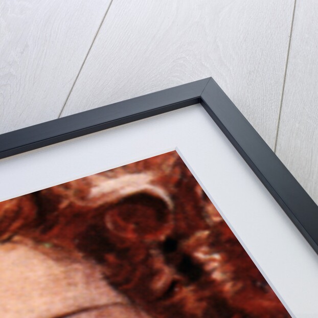 Shirley Ross, (1913-1975), American film actress by Anonymous