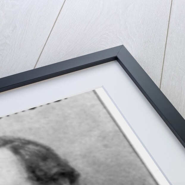 William George Armstrong, English industrialist by Anonymous