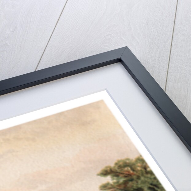 Lake at Virginia Water by Anonymous