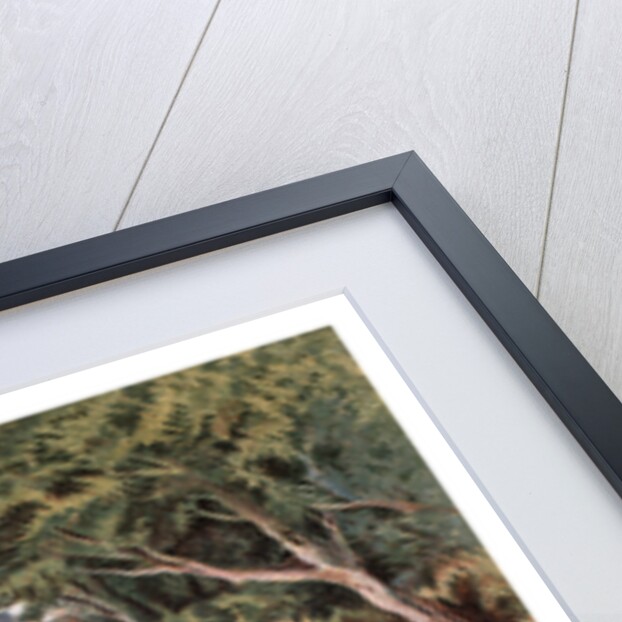 Cascade at Virginia Water by Anonymous