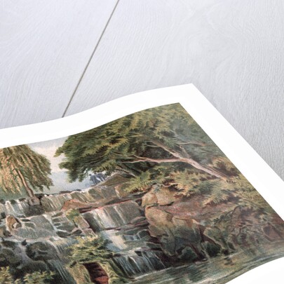 Cascade at Virginia Water by Anonymous