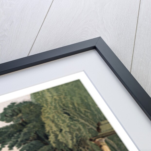 Ruins in Windsor Park by Anonymous