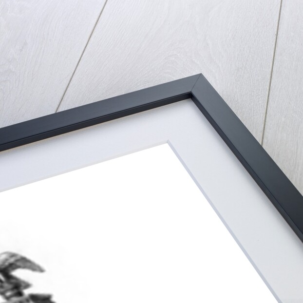 Lectern, c15th century? by Henry Shaw